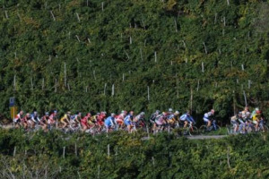 DAGLI SCAFFALI DI TESCO AL LEADER DELLE VENDITE ENOICHE ONLINE WAITROSE, IL PROSECCO NEL REGNO UNITO SUPERA IN UN COLPO SOLO CHAMPAGNE E CAVA. IL SEGRETO? QUALITA&rsquo; AL GIUSTO PREZZO, UNA MANNA IN TEMPI DI CRISI ...