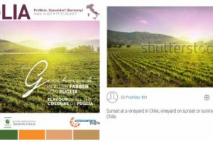 Il vino racconta un territorio, e le vigne ne disegnano il paesaggio in maniera unica ed irripetibile. Ma nell&rsquo;era della digitalizzazione, pu&ograve; succedere che si cada in errori. Come la Puglia, che, in materiale promozionale, ha usato Cile e California