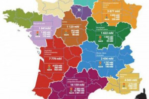 Con il riassetto amministrativo della Francia, la fusione di Midi-Pyr&eacute;n&eacute;es e Languedoc-Roussillon dar&agrave; luogo alla seconda regione enoica d&rsquo;Europa, con 16,16 milioni di ettolitri di vino prodotti nel 2014, dietro alla sola Castilla-La-Mancha