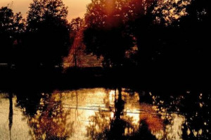 Il riso, tradizione di oltre 500 anni da quando il Duca di Milano Galeazzo Maria Sforza ne avviò nel 1470 la coltura a Vigevano, celebrato nella mostra “Terra di risaie” a Vigevano (14 febbraio-29 marzo), aspettando il cluster dedicato ad Expo2015