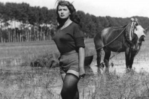 Riso, Confagricoltura Piemonte chiede stato di crisi ed etichettatura obbligatoria al Ministero delle Politiche Agricole: l’import selvaggio dai Pma (Paesi Meno Avanzati) mette a repentaglio il sistema produttivo Italia, maggior produttore europeo