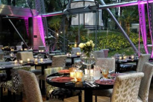 DALLA MODA AL CIBO, IL PASSO È BREVE: ROBERTO CAVALLI, LO STILISTA FIORENTINO FAMOSO PER LE SUE STAMPE ANIMALIER, SBARCA A MIAMI CON UN NUOVO PROGETTO FOOD, L’APERTURA DEL SUO SETTIMO RESTAURANT & LOUNGE. E NEL 2014 APERTURE IN CINA, ARABIA E ...