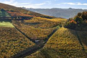 Nel &ldquo;Risiko&rdquo; che sta ridisegnando le propriet&agrave; di Langa, anche le piccole realt&agrave; si muovono: l&rsquo;azienda Alessandro Rivetto, con una produzione di 80.000 bottiglie, ha acquisito 6 ettari di vigneto a Barbaresco ad Alba, nei &ldquo;cru&rdquo; Montersino e Meruzzano