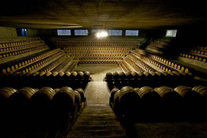 BELLA E FUNZIONALE: DOPO LE CATTEDRALI DEL VINO PROGETTATE DA ARCHISTAR COME RENZO PIANO, MASSIMILIANO FUKSAS E FRANK GEHRY, ADESSO A FARLA DA PADRONE “È LA FUNZIONALITÀ”. PAROLA DELL’ARCHITETTO ANDREA CLEMENTI (ENOCONSULT)