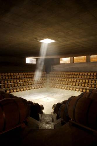 La bottaia di Rocca di Frassinelli