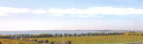 Il vigneto da dove nasce il rosso di Venissa