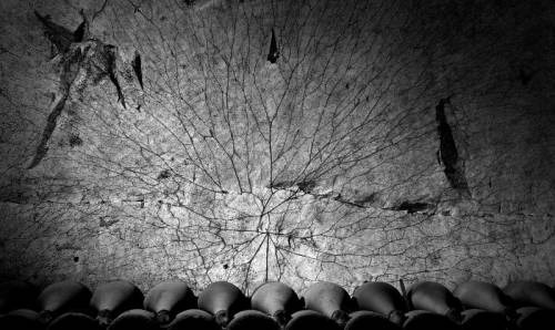 Lo champagne Ruinart con le foto di Erwin Olaf