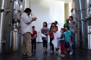 Imparare a rispettare l&rsquo;ambiente grazie ad un tour in cantina e nelle vigne, tra trattori e &ldquo;navi spaziali&rdquo;. Per &ldquo;Arcobaleno d&rsquo;Estate&rdquo; a Salcheto di Montepulciano, ecco il percorso per sensibilizzare grandi e piccoli sul valore della sostenibilit&agrave;