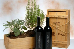 PU&Ograve; UNA CONFEZIONE DI VINO SINTETIZZARE LA FILOSOFIA INTERA DI UNA CANTINA? S&Igrave;. COME QUELLA DEL &ldquo;SALCO&rdquo; DI SALCHETO (MONTEPULCIANO). CHE METTE LA SOSTENIBILIT&Agrave; AL PRIMO POSTO (&Egrave; LA PRIMA CANTINA OFF-GREED IN EUROPA), DALLA VIGNA ALLA BOTTIGLIA ...