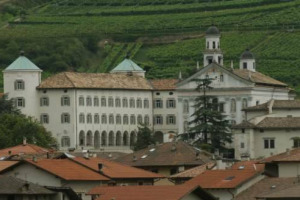 ECCO LE &ldquo;OTTO AZIONI&rdquo; VIRTUOSE PER IL RILANCIO DELLA VITICOLTURA TRENTINA, ELABORATE DALL&rsquo;ISTITUTO AGRARIO DI SAN MICHELE ALL&rsquo;ADIGE. ENTRO NATALE LA PROVINCIA E&rsquo; PRONTA AD APPROVARE IL PIANO