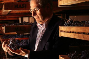 Continuare a crescere nell&rsquo;export, ma tornare ad investire anche sul mercato interno, puntando sull&rsquo;educazione, anche nelle scuole, alla cultura mediterranea del bere, di cui il vino &egrave; simbolo: il futuro del vino tracciato da Federvini