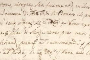 &Egrave; uno dei vitigni pi&ugrave; diffusi, ma le origini del Sangiovese sono un mistero. Ora la scoperta di un rogito del 1672 ne attesta la coltivazione gi&agrave; all&rsquo;epoca. In Romagna: lo racconta &ldquo;Sangiovese vino di Romagna&rdquo;, volume dello storico Beppe Sangiorgi