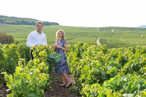 L’attrice americana tra i vigneti francesi