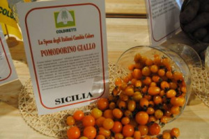 Lo spinacio riccio d’Asti, il peperone sigaretta di Bergamo, il cetriolo tortarello abruzzese, la catalogna puntarella di Galatina e non solo: nella “Giornata della Biodiversità” ad Expo, Coldiretti lancia lo “scrigno dei semi perduti” da coltivare