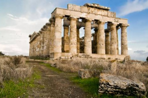 In Sicilia il vino prova a prendersi cura del patrimonio artistico in cui nasce, ma la burocrazia fa impantanare il progetto di Cantine Settesoli, che ha provato a raccogliere 500.000 euro per il Parco archeologico di Selinunte e Cave di Cusa