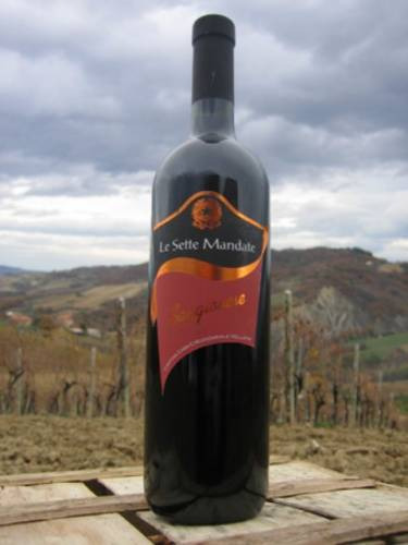 Il vino Sette Mandate