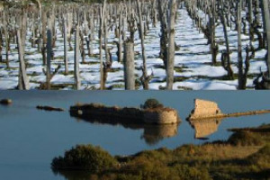 Unit&agrave; nella diversit&agrave;, vera ricchezza dell&rsquo;Isola, e un futuro che passa da una vendemmia 2014 &ldquo;perfetta&rdquo;, dalla promozione sui mercati internazionali e da investimenti in ricerca e sostenibilit&agrave;, e da Expo: ecco i messaggi di &ldquo;Sicilia en primeur&rdquo;