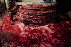 Le pi&ugrave; belle foto sul vino? All&rsquo;&ldquo;Art Photo Travel Festival&rdquo; (Enoteca Italiana di Siena, 29 ottobre-30 novembre), con il &ldquo;Siena International Photography Awards&rdquo;, 45.000 scatti da 127 Paesi con immagini mozzafiato, di grandi autori e giovani talenti