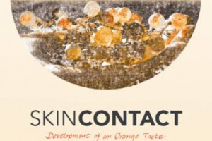 Un documentario che racconta gli &ldquo;orange wines&rdquo;. Si intitola &ldquo;Skin Contact: Development of an Orange Taste&rdquo; e ha come protagonisti i vini di Jo&scaron;ko Gravner (fra gli ideatori del progetto). In Italia disponibile on-line dal 16 giugno
