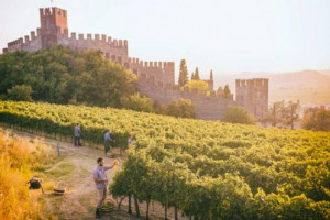 I territori del vino si rimettono in moto e si torna ad assaggiare agli eventi in agenda: da &ldquo;Collisioni&rdquo; nelle Marche a &ldquo;Soave Versus&rdquo;, da &ldquo;Enologica Montefalco&rdquo; al &ldquo;Festival Franciacorta in Cantina&rdquo;, aspettando il debutto di Alto Adige Wine Summit