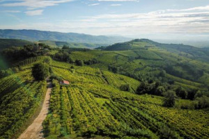 Le colline vitate del Soave, primo paesaggio rurale di interesse storico d&rsquo;Italia, cominciano il cammino verso la prima candidatura tricolore al sistema GIAHS della FAO, grazie anche alla fondamentale tutela del territorio da parte del Consorzio