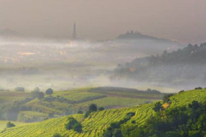 IMU AGRICOLA: LA TASSAZIONE DEL GOVERNO RESTA ANCORA POCO CHIARA E TRA LE PIEGHE LEGISLATIVE AUMENTANO GLI SPAZI DI INIQUIT&Agrave;. UN ESEMPIO? QUASI TUTTI I COMUNI DOVE SI PRODUCONO I GRANDI VINI DEL BEL PAESE SONO ESENTANTI DAL PAGAMENTO DELL&rsquo;IMPOSTA