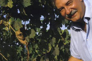A TU PER TU CON GIANFRANCO SOLDERA (CASE BASSE): IL RACCONTO DELLA SCOPERTA DELL’ATTO VANDALICO CHE HA DISTRUTTO SEI ANNATE DEL SUO BRUNELLO (2007-2012), LE CONSIDERAZIONI, LE VALUTAZIONI SULLA POSSIBILE COPERTURA DA PARTE DELL’ASSICURAZIONE ...