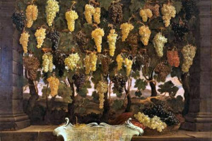 ABROSTINE, BONAMICO, CANAIOLO PRATENSE, COLOMBANO, GALLETTA ROSSA, OCCHIO DI PERNICE, VAIANO, ZOPPOLINO ... RINTRACCIATI PARTENDO DA TAVOLE PITTORICHE DEL 1700 GLI ANTICHI VITIGNI MEDICEI. ARRIVA “DIVINI PROFUMI 2008”