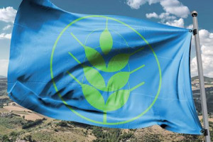 L’Italia ha le sue prime 13 “Spighe Verdi”, riconoscimento pensato per valorizzare i Comuni rurali come avviene con le “Bandiere Blu” per le località balneari, firmato Fee Italia - Foundation for Environmental Education e Confagricoltura