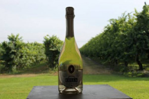 Conquistare i Paesi Arabi, dove l&rsquo;alcol &egrave; proibito, ma anche un Occidente sempre pi&ugrave; salutista: l&rsquo;idea alla base dello spumante alcohol-free &ldquo;Bella&rdquo; di Iris Vigneti, fatto con uve Glera come il Prosecco, e che avr&agrave; la sua prima vendemmia ad hoc