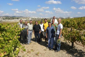 Il vigneto pi&ugrave; antico del mondo, quello di Cremisan, in Palestina, rischia di sparire: dall&rsquo;Alta Corte di Israele arriva il via libera alla costruzione di un muro di 8 metri che allargher&agrave; gli insediamenti israeliani di Gillo e Har Gillo