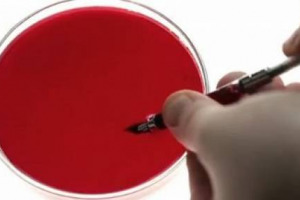 SCRIVERE DI VINO &Egrave; ORMAI COSA DIFFUSA, MA SCRIVERE CON IL VINO NON &Egrave; ROBA DA TUTTI I GIORNI. AD OVVIARE AL PROBLEMA CI HA PENSATO L&rsquo;AZIENDA SPAGNOLA, CASA MARIOL, CHE HA PROGETTATO UN &ldquo;WINE INK&rdquo; UN INCHIOSTRO PRODOTTO CON UVE CABERNET-SAUVIGNON