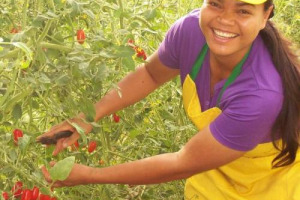 Sempre più stranieri, 322.000, nei campi italiani, che contribuiscono in maniera fondamentale all'agricoltura e alle produzioni enogastronomiche di eccellenza del made in Italy. Così Coldiretti sul “Dossier statistico immigrazione 2014”