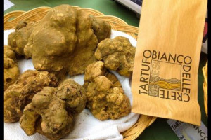 Anche le Crete Senesi, in Toscana, nobile patria del pregiato tartufo bianco italiano, simbolo del legame tra l’uomo e la terra, ma anche indicatore di biodiversità, sulla via del riconoscimento tra le Riserve mondiali della Biodiversità Mab Unesco