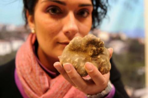 ANCHE IL TARTUFO BIANCO VUOLE UN POSTO ALL’UNESCO. LA RICHIESTA PARTE DAL PIEMONTE CHE CHIEDE PER IL TUBERO IL RICONOSCIMENTO A PATRIMONIO DELL’UMANITA’. I TARTUFAI TOSCANI: “MERITA LISTA UNESCO”. I TARTUFAI DEL LAZIO: “PENSARE ANCHE AL NERO”