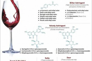 Quali sono le molecole che &ldquo;colpiscono&rdquo; i nostri sensi quando beviamo un vino? La risposta nella lectio magistralis del professor Thomas Hofmann, tra i massimi esperti in materia, che, dal 2008, studia le componenti chimiche del Valpolicella Tedeschi