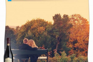 VINO & SOCIAL: SI CHIAMA @RIAMOLDE, ARRIVA DALLA NORVEGIA E HA SCATTATO LA FOTO PI&Ugrave; BELLA DEL CONTEST #THATSAMARONE, LANCIATO SU INSTAGRAM DA MASI IL GIORNO DI SAN VALENTINO, E CAPACE DI RACCOGLIERE IN POCHE SETTIMANE 34.821 LIKE