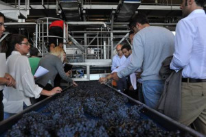 NEI GIORNI IN CUI IL PRODUCT PLACEMENT, IN ITALIA, FESTEGGIA I 10 ANNI, SI RINSALDA IL BINOMIO VINO-TELEVISIONE: CA&rsquo; DEL BOSCO, AZIENDA SIMBOLO DEL FRANCIACORTA, OSPITER&Agrave; &ldquo;THE APPRENTICE&rdquo;, IL TALENT SHOW SUL MONDO DEL BUSINESS CONDOTTO DA BRIATORE