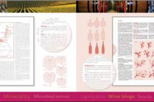 Una vera e propria enciclopedia del vino, ricca di 4.000 voci, per un totale di 912 pagine, comprese foto e mappe, dedicata a professionisti ed appassionati: &egrave; il &ldquo;The Oxford Companion to Wine&rdquo;, arrivato all&rsquo;edizione n. 4, firmato da Jancis Robinson