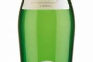 &ldquo;TITULUS&rdquo;, UN SIMBOLO DEL MONDO VINO IN MOSTRA: LA BOTTIGLIA AD ANFORA DEL VERDICCHIO FAZI BATTAGLIA, UNO DEI VINI PI&Ugrave; RAPPRESENTATIVI DELL&rsquo;ENOLOGIA ITALIANA, ENTRA NEL MUSEO DELL&rsquo;ARA PACIS A ROMA