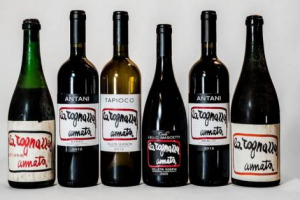 La Tognazza Amata, il progetto enogastronomico lanciato dal figlio di Ugo Tognazzi, Gian Marco, dalla tenuta di Velletri tanto cara al protagonista de “La Grande Abbuffata”, arriva a Cremona, nella casa natale dell’attore, con il terzo punto vendita