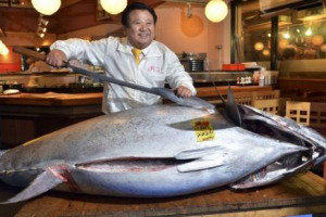 POCO PIÙ DI 6.000 EURO AL CHILO, OVVERO 1,34 MILIONI DI EURO: ECCO A QUANTO È STATO VENDUTO IL TONNO ROSSO DA RECORD, 222 CHILI, AL MERCATO DI TSUKIJI, A TOKIO, IN GIAPPONE. AD AGGIUDICARSELO KIYOSHI KIMURA, PRESIDENTE DELLA CATENA DI SUSHI “ZANMAI”