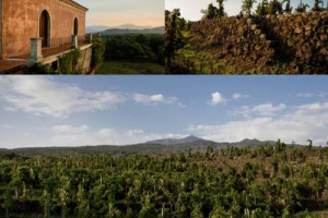 L&rsquo;Etna del vino continua ad attirare investimenti importanti da altri territori: sul vulcano anche la storica realt&agrave; toscana Piccini, che con Torre Mora (12 ettari vitati) arricchisce le sue Tenute Piccini, dedicate ai vini di alta gamma