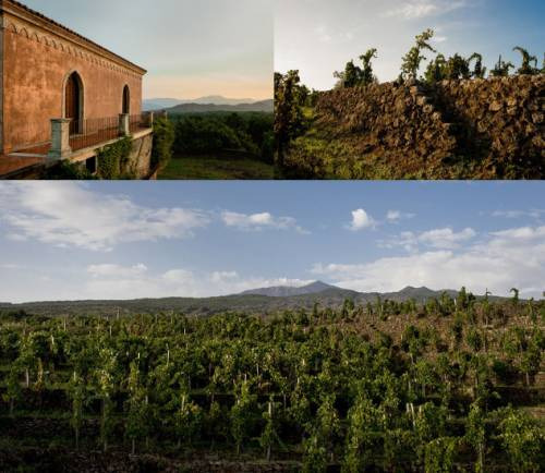 La storica realtà chiantigiana Piccini sull’Etna con i 12 ettari della tenuta Torre Mora