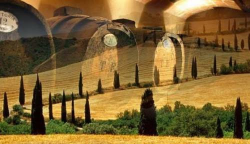 Toscana: vendemmia 2017 un danno economico di 480 milioni di euro