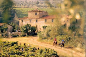 I migliori wine tour d&rsquo;Italia e d&rsquo;Europa sono in Toscana, che occupa tutte le prime 4 posizioni della classifica nazionali, il vertice di quella europea e il podio di quella mondiale, stilate da Tripadvisor, tra le proposte di enoturismo nel mondo