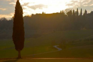 METTI L&rsquo;ENOLOGO IN BICICLETTA: PER ENO-BIKER DOC ARRIVA &ldquo;TUSCANY WINE & BIKE&rdquo;, AFFASCINANTE TOUR SU DUE RUOTE DAL CHIANTI ALLA VERNACCIA PEDALANDO SULLA FRANCIGENA IN TOSCANA IN COMPAGNIA DEL WINE MAKER, TRA LEZIONI DI ASSAGGIO E VISITE IN CANTINA