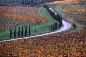 &Egrave; UNA TOSCANA DEL VINO IN SALUTE, QUELLA CHE SI PREPARA ALLE &ldquo;ANTEPRIME&rdquo;: EXPORT A +13,5% SUL 2010. E A &ldquo;TIRARE LA VOLATA&rdquo; C&rsquo;&Egrave; &ldquo;BUY WINE&rdquo; (16-17 FEBBRAIO), L&rsquo;EVENTO DI TOSCANA PROMOZIONE CHE PORTER&Agrave; A DI FIRENZE 200 BUYER DA TUTTO IL MONDO