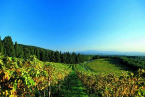 La Toscana del vino si prepara ad incontrare il mondo alla sua &ldquo;borsa del vino&rdquo;: il 13 e 14 febbraio a Firenze &egrave; di scena &ldquo;Buy Wine&rdquo;, il workshop business to business di Toscana Promozione, dove 280 vignerons toscani incontreranno 300 buyer stranieri