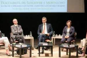 SI PUÒ RINTRACCIARE IN UN VINO ANCHE INVECCHIATO IL VITIGNO DI ORIGINE? SÌ, È POSSIBILE, MA LA RICERCA NON CI FORNISCE ANCORA UN METODO INFALLIBILE PER QUESTO TIPO DI RILEVAZIONE. COSI’, OGGI, A MONTALCINO, NEL CONVEGNO “TRACCIABILITÀ DEL SANGIOVESE”